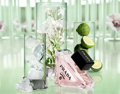 free prada paradoxe sample|Prada paradoxe virtual flower.